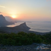 Природа Крыма :: Amazing Cosmea