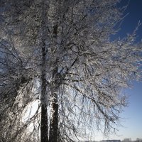 У озера. :: Николай