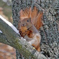 Вкусненько! :: Alexandеr P