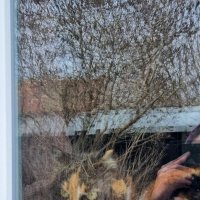 За окошком :: Наталья 