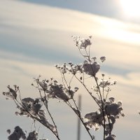 * :: Tim Andrews * :: Tim Andrews