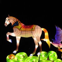 Китайский Новый год :: ИННА ПОРОХОВА