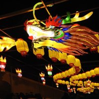 Китайский Новый год :: ИННА ПОРОХОВА