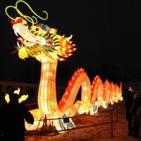 Китайский Новый год :: ИННА ПОРОХОВА