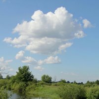 У заводи. :: Сергей Рожков