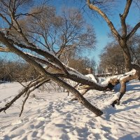 Петергоф. Ольгин пруд :: Наталья Герасимова Петергоф. Ольгин пруд :: Наталья Герасимова