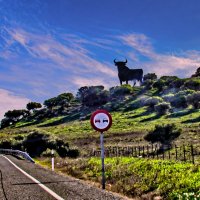 По дорогам Андалузии :: Андрей K.