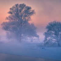 Две «души» в седом тумане ... :: Roman Lunin