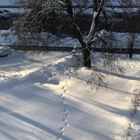 "...по снегу доберутся ко мне твои следы" :: zavitok *