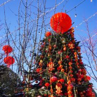 Китайский Новый год :: Ольга 