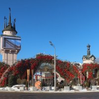 Китайский Новый год :: Дмитрий И_