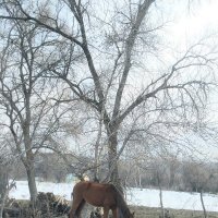 Талгар. :: Murat Bukaev 