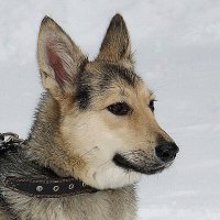 Встреча в парке :: Галина Нестратова