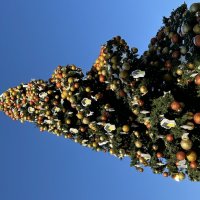 Красота :: Натали 