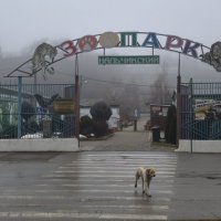 Зоопарк в Гальчике :: Мариша 