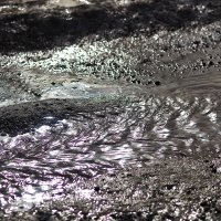 Снег растаял :: Юрий Гайворонскiий Снег растаял :: Юрий Гайворонскiий