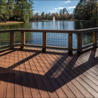 Пруд :: **** vedin