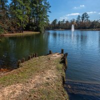 Пруд :: **** vedin