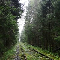 дорога в никуда :: Лидия Меркулова