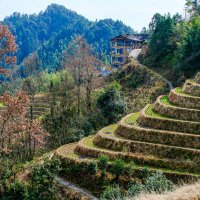 Террасные рисовые поля :: Георгий А