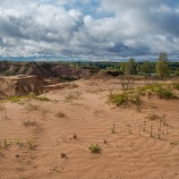На берегу реки Волхов :: Владимир Жуков