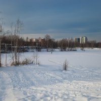 Зимняя природа на речке :: Александр Синдерёв