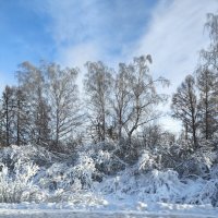 Придорожный пейзаж :: Ирэн 