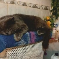 Кому на Руси жить хорошо... :: Михаил Столяров Кому на Руси жить хорошо... :: Михаил Столяров