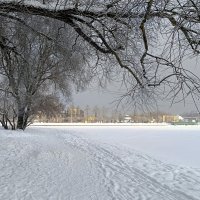 Небо в оттенках серого :: Мария Васильева Небо в оттенках серого :: Мария Васильева