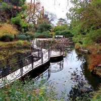 Ландшафтный дизайн :: Мишель71 