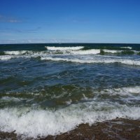 ~~ ~~ ~~ :: Алёна Савина