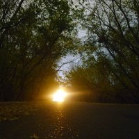 UFO :: Aндрей Антонов