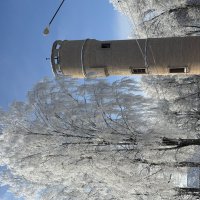 Башня :: Ольга Савельева 