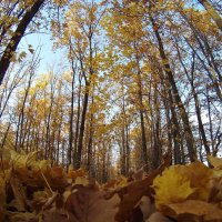 Осень :: Prizrak 777