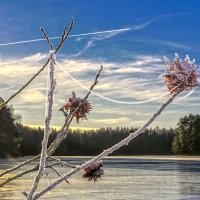 Зимнее утро :: Григорий П