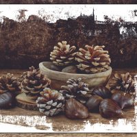 (°-°) :: Jakob Dick