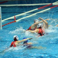 Борьба за мяч :: Александр Гриднев