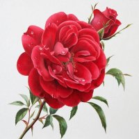 цветы :: МАРИЯ ПОПОВА