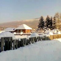 ЖУРАВЛЕВО :: Tata Wolf