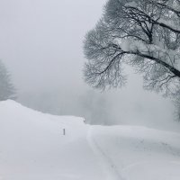 Утро туманное, утро седое.. :: Татьяна 