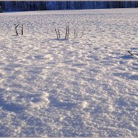 Про февраль... :: Aquarius - Сергей Про февраль... :: Aquarius - Сергей