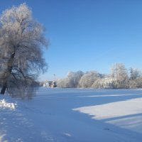 Изморозь :: Сапсан 