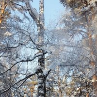 В городском парке :: Галина Нестратова В городском парке :: Галина Нестратова