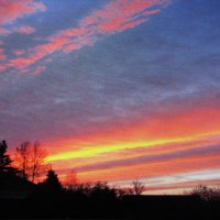 Красивое утро :: Людмила Смородинская