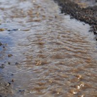 Весна идёт! :: Юрий Гайворонскiий