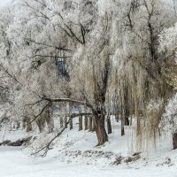 Зимний пейзаж ... :: Ravile 