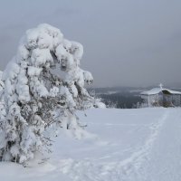 Белогорье :: Лариса С.