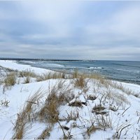 Зимнее море. :: Валерия Комова