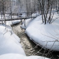 Река Егошиха :: Евгений Шафер