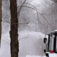 Работает человек. :: Наталья Вязигина